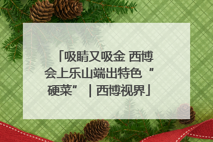吸睛又吸金 西博会上乐山端出特色“硬菜”｜西博视界