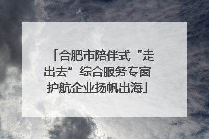 合肥市陪伴式“走出去”综合服务专窗护航企业扬帆出海