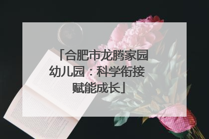 合肥市龙腾家园幼儿园：科学衔接 赋能成长