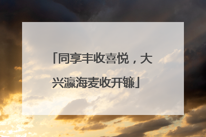 同享丰收喜悦，大兴瀛海麦收开镰