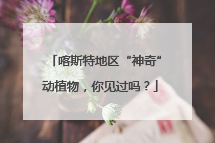 喀斯特地区“神奇”动植物，你见过吗？