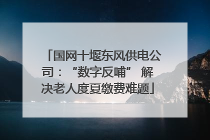 国网十堰东风供电公司：“数字反哺” 解决老人度夏缴费难题