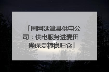 国网延津县供电公司：供电服务进麦田 确保夏粮稳归仓