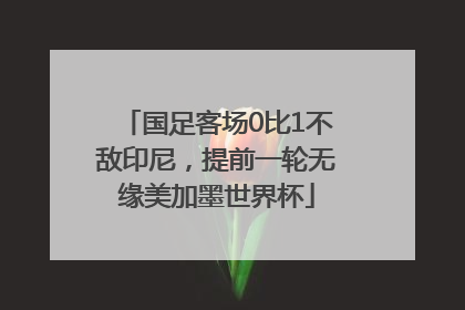 国足客场0比1不敌印尼，提前一轮无缘美加墨世界杯
