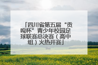 四川省第五届“贡嘎杯”青少年校园足球联赛总决赛（高中组）火热开赛