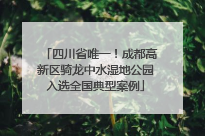 四川省唯一！成都高新区骑龙中水湿地公园入选全国典型案例