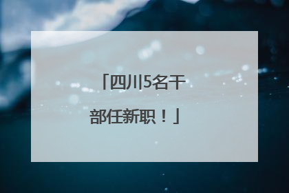 四川5名干部任新职！