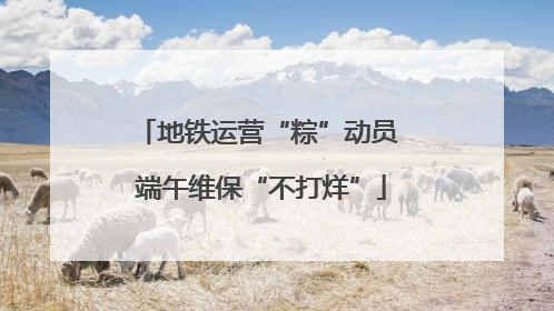地铁运营“粽”动员 端午维保“不打烊”