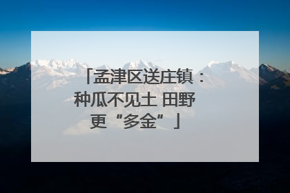 孟津区送庄镇：种瓜不见土 田野更“多金”