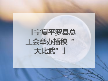 宁夏平罗县总工会举办插秧“大比武”