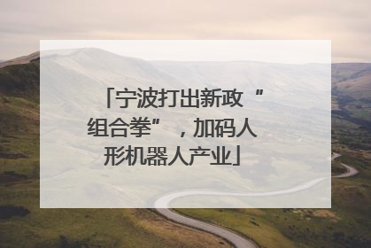 宁波打出新政“组合拳”，加码人形机器人产业