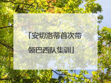 安切洛蒂首次带领巴西队集训