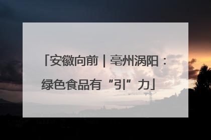 安徽向前｜亳州涡阳：绿色食品有“引”力