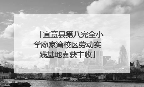 宜章县第八完全小学廖家湾校区劳动实践基地喜获丰收