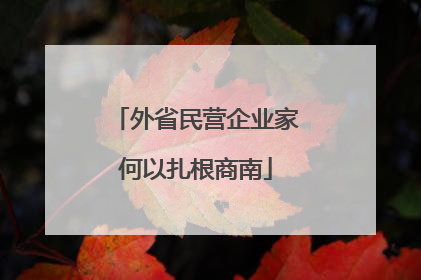 外省民营企业家何以扎根商南