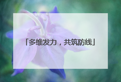 多维发力，共筑防线