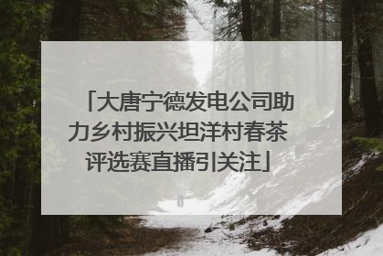 大唐宁德发电公司助力乡村振兴坦洋村春茶评选赛直播引关注