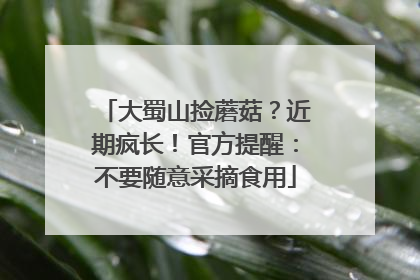 大蜀山捡蘑菇？近期疯长！官方提醒：不要随意采摘食用