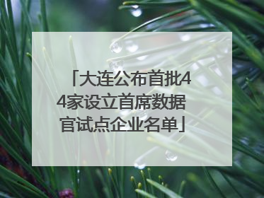 大连公布首批44家设立首席数据官试点企业名单