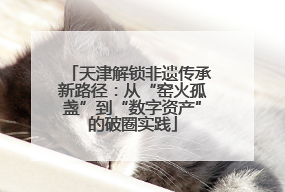 天津解锁非遗传承新路径：从“窑火孤盏”到“数字资产”的破圈实践