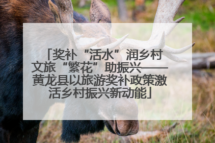 奖补“活水”润乡村 文旅“繁花”助振兴——黄龙县以旅游奖补政策激活乡村振兴新动能