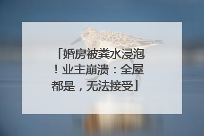 婚房被粪水浸泡！业主崩溃：全屋都是，无法接受