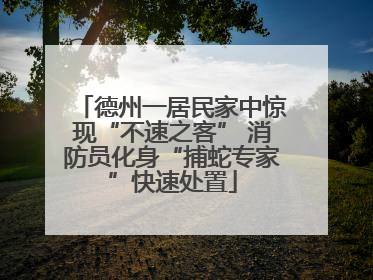 德州一居民家中惊现“不速之客” 消防员化身“捕蛇专家”快速处置