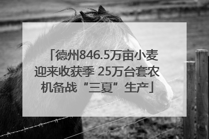 德州846.5万亩小麦迎来收获季 25万台套农机备战“三夏”生产