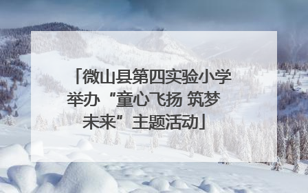 微山县第四实验小学举办“童心飞扬 筑梦未来”主题活动