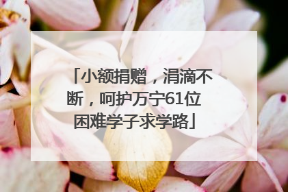 小额捐赠，涓滴不断，呵护万宁61位困难学子求学路