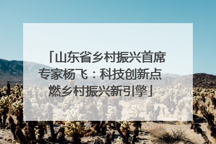 山东省乡村振兴首席专家杨飞：科技创新点燃乡村振兴新引擎