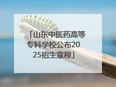 山东中医药高等专科学校公布2025招生章程