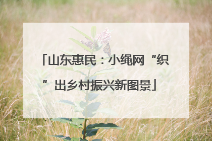 山东惠民：小绳网“织”出乡村振兴新图景