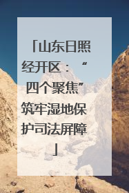 山东日照经开区：“四个聚焦”筑牢湿地保护司法屏障