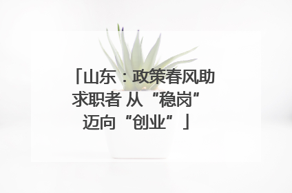 山东：政策春风助求职者 从“稳岗”迈向“创业”