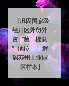 巩固国家级经开区外贸外资“第一梯队”地位——解码苏州工业园区样本