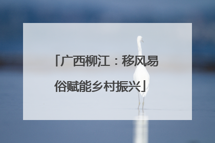 广西柳江：移风易俗赋能乡村振兴