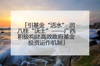 引基金“活水” 润八桂“沃土”——广西积极构建高效政府基金投资运作机制