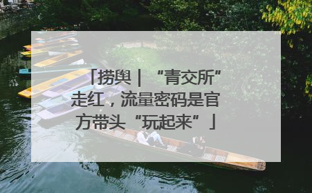 捞舆｜“青交所”走红，流量密码是官方带头“玩起来”