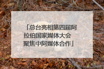 总台亮相第四届阿拉伯国家媒体大会 聚焦中阿媒体合作
