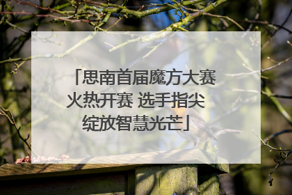 思南首届魔方大赛火热开赛 选手指尖绽放智慧光芒