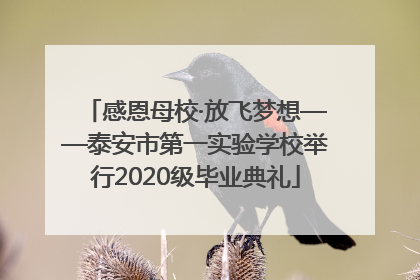 感恩母校·放飞梦想——泰安市第一实验学校举行2020级毕业典礼