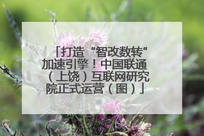 打造“智改数转”加速引擎！中国联通（上饶）互联网研究院正式运营（图）