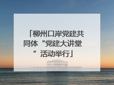 柳州口岸党建共同体“党建大讲堂”活动举行