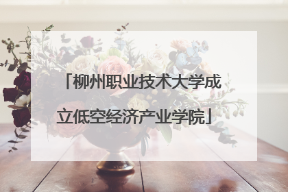 柳州职业技术大学成立低空经济产业学院