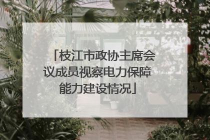 枝江市政协主席会议成员视察电力保障能力建设情况