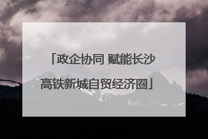 政企协同 赋能长沙高铁新城自贸经济圈