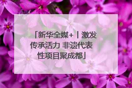 新华全媒+丨激发传承活力 非遗代表性项目聚成都