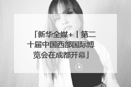 新华全媒+丨第二十届中国西部国际博览会在成都开幕