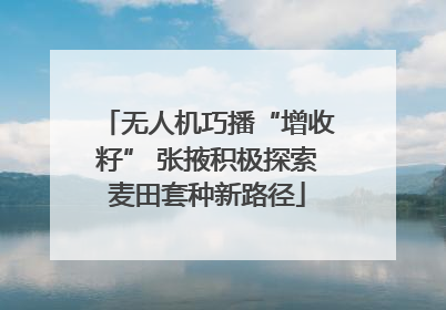 无人机巧播“增收籽” 张掖积极探索麦田套种新路径